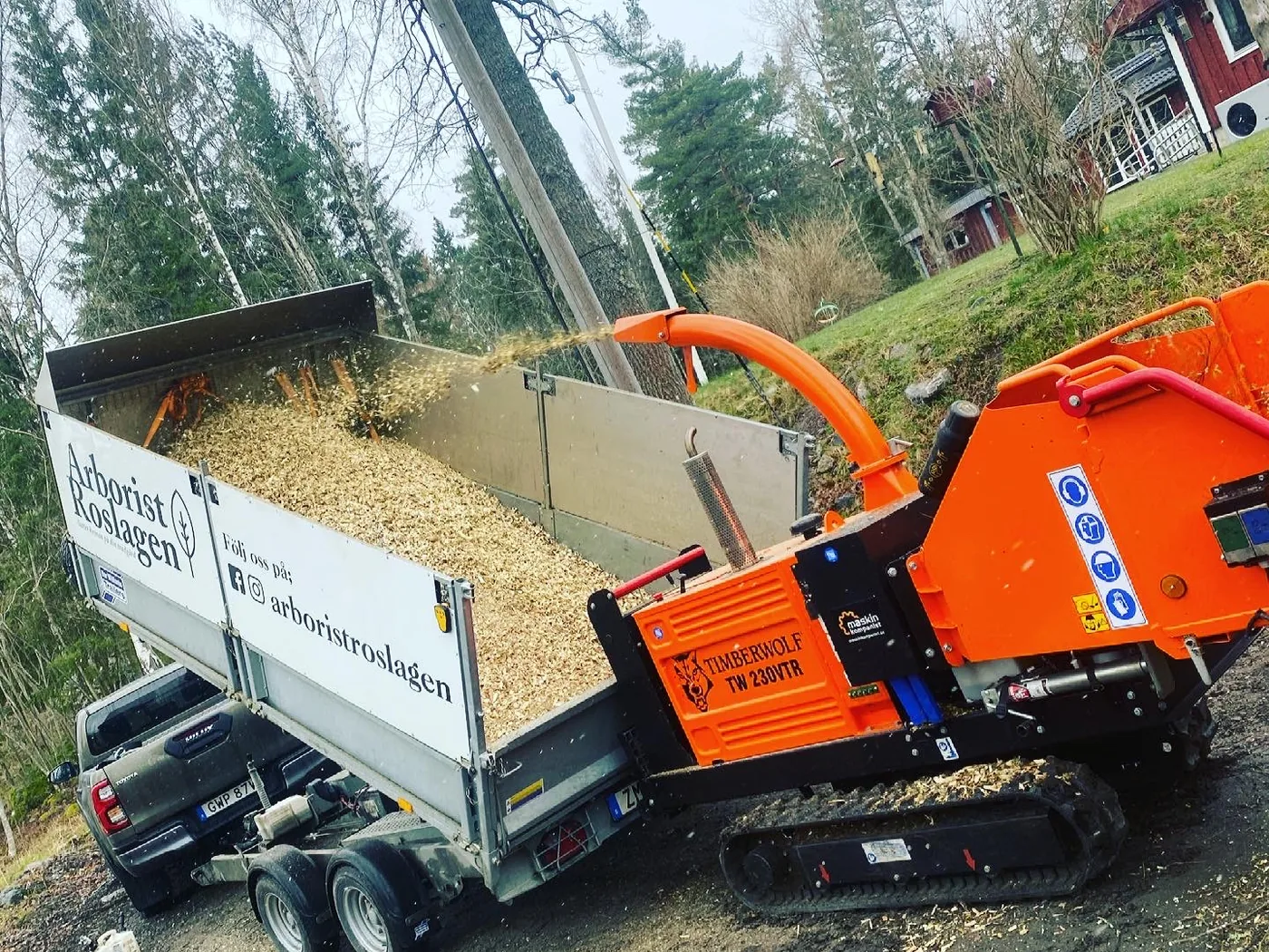 Grenar flisas efter genomfört trädarbete