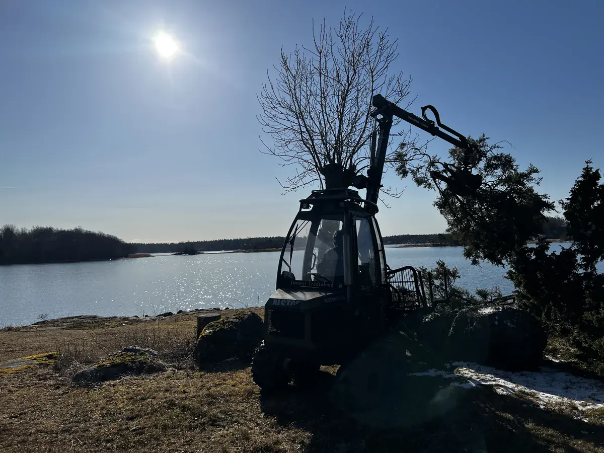 Kustnära natur och träd i Roslagen