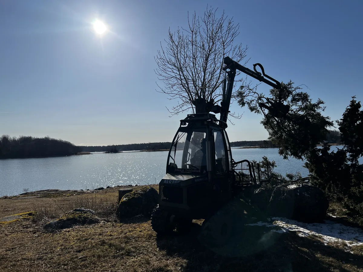 Kustnära natur och träd i Roslagen